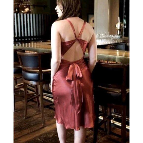 Bishop Young Women's Sloan Dress Sz XS Rose Tie Elegant Feminine NWT - Picture 8 of 9